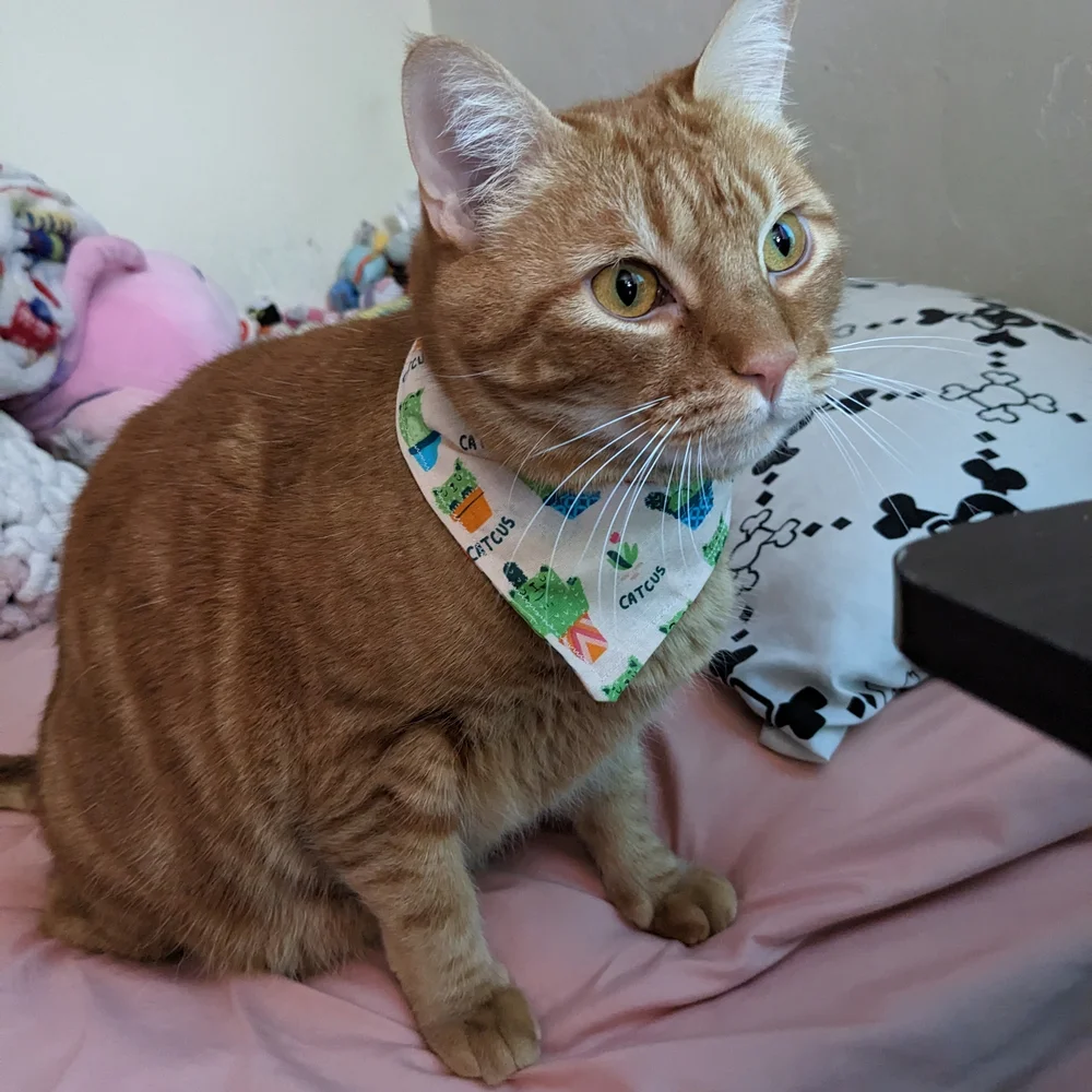 Disney Character Bandana Bib - Red, Yellow, and Black